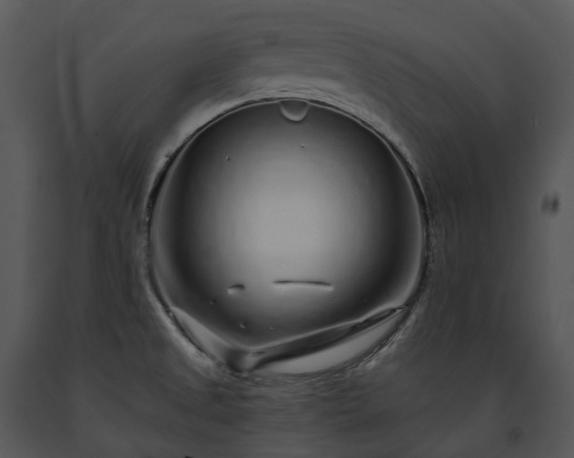 X0000091681525200708301509