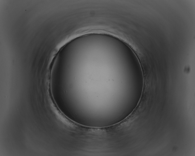 X0000091681526200708301509