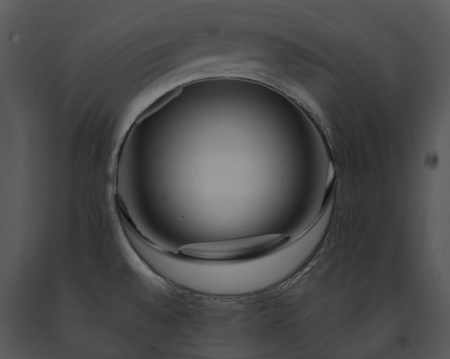 X0000091681528200708301509