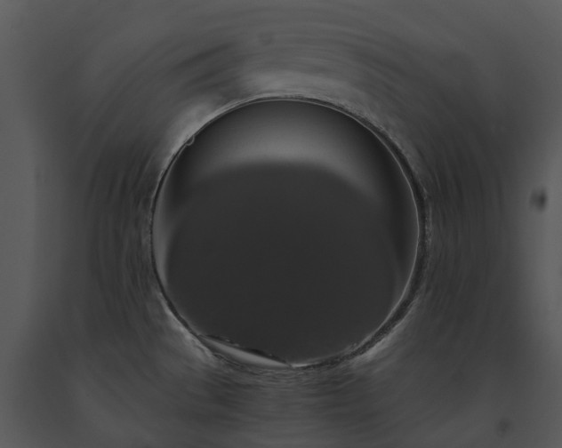 X0000091681529200708301509