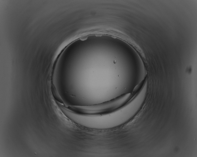X0000091681530200708301509