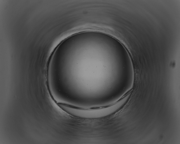X0000091681531200708301509