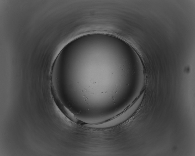 X0000091681532200708301509