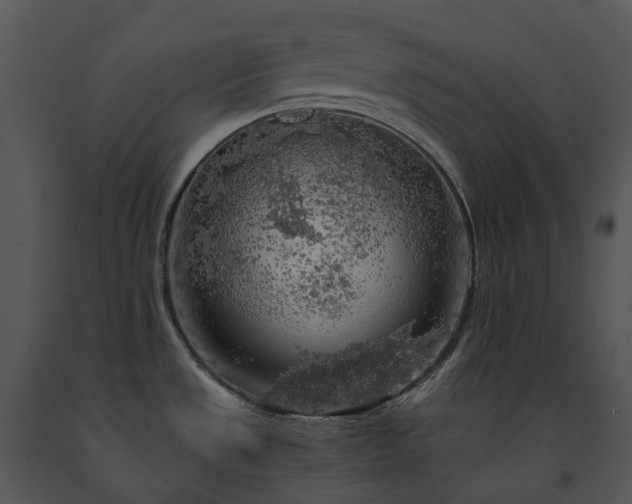 X0000091681533200708301509