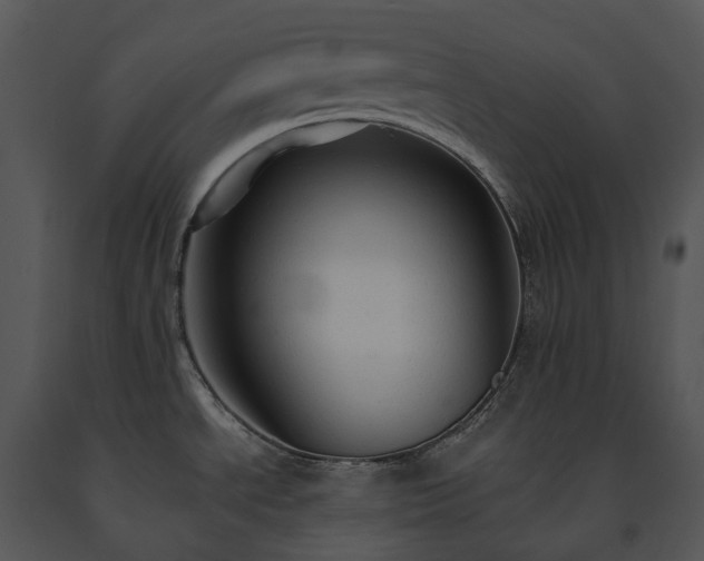 X0000091681534200708301509