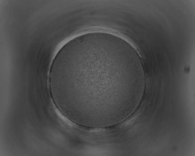X0000091681535200708301509