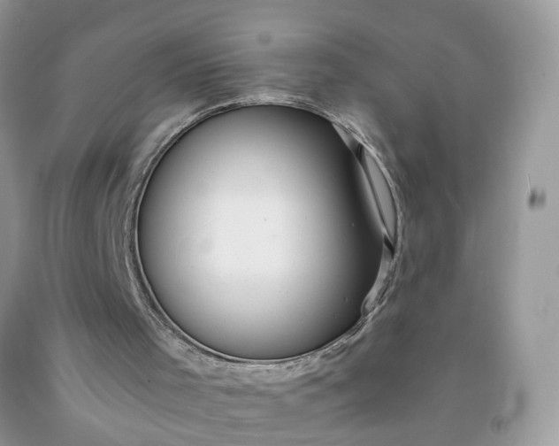 X0000091680001200709061114