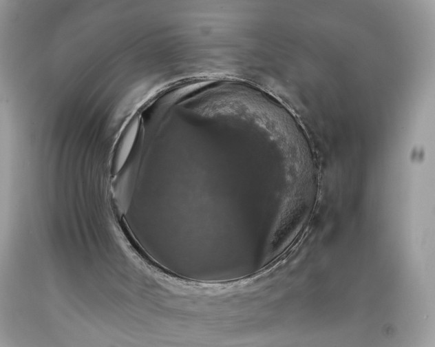 X0000091680002200709061114