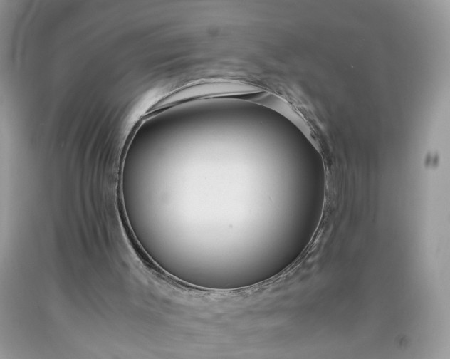 X0000091680003200709061114