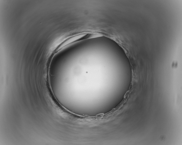X0000091680005200709061114