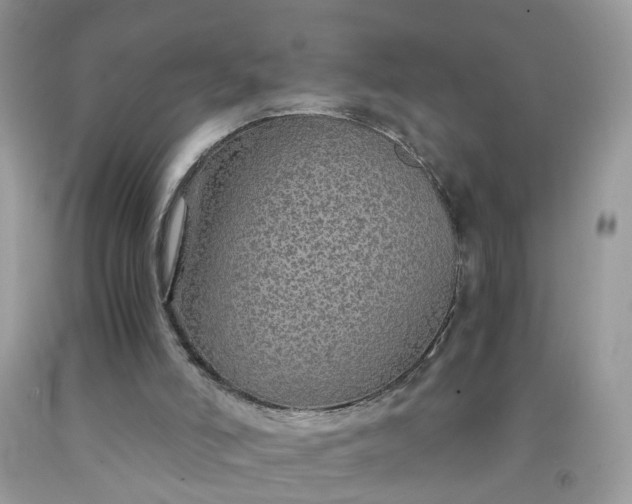 X0000091680006200709061114