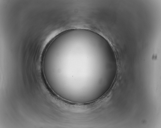X0000091680008200709061114
