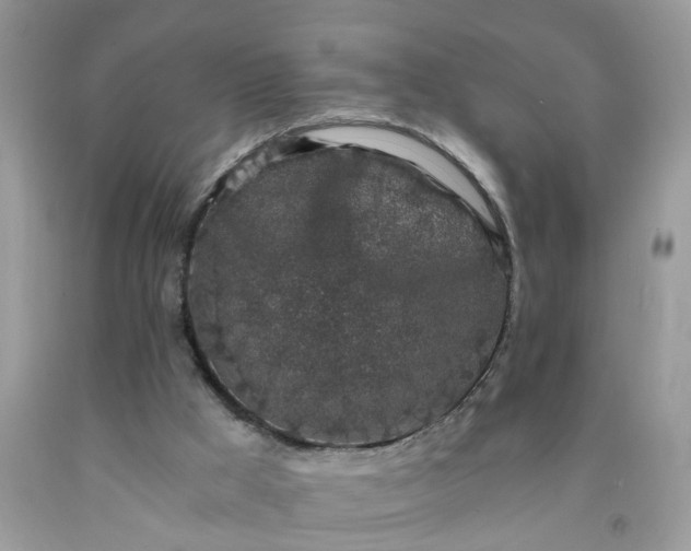 X0000091680009200709061114