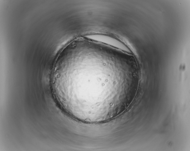 X0000091680010200709061114