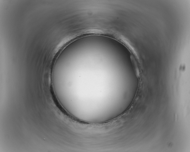 X0000091680011200709061114