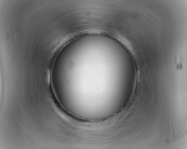 X0000091680013200709061114
