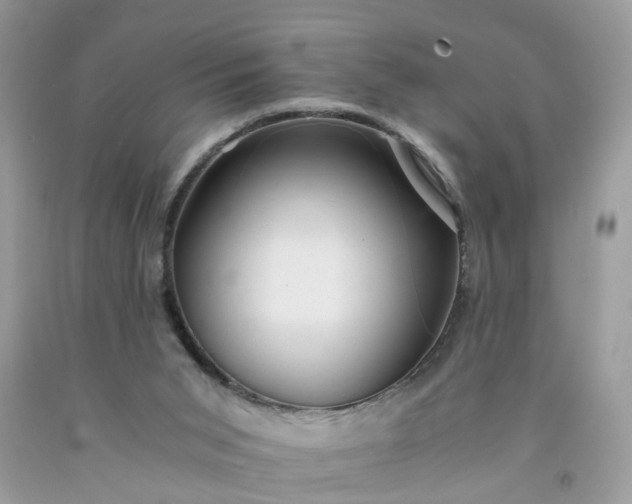 X0000091680015200709061114