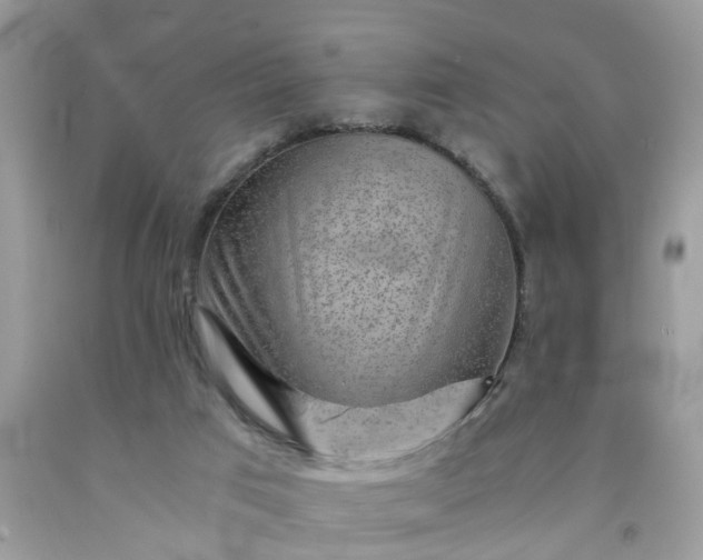 X0000091680017200709061114