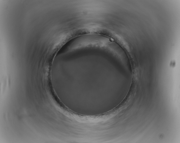 X0000091680018200709061114