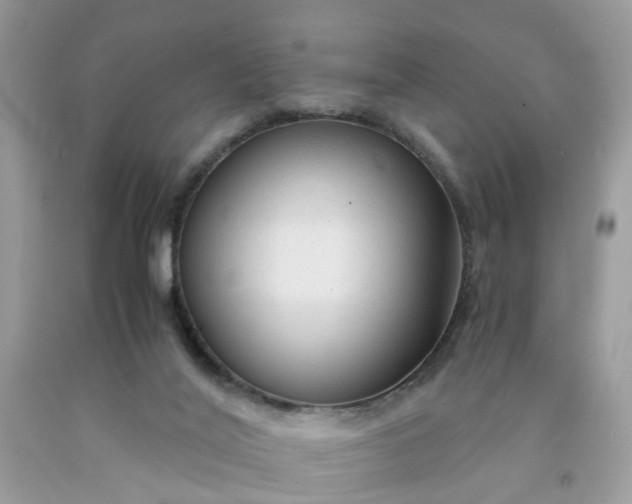 X0000091680020200709061114