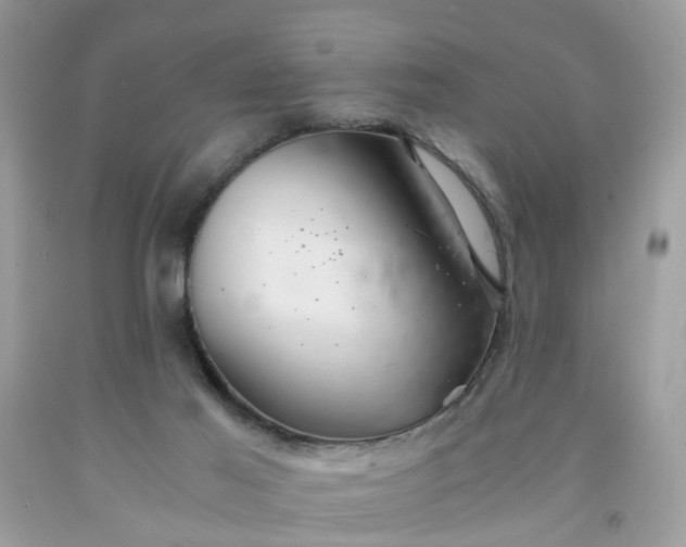 X0000091680021200709061114
