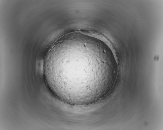 X0000091680022200709061114