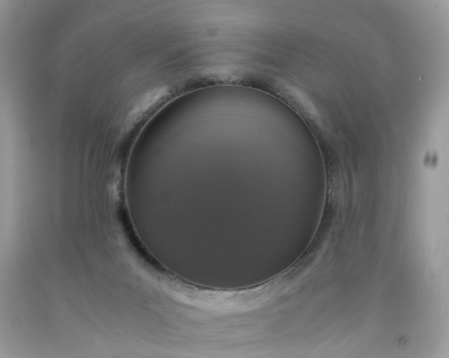 X0000091680023200709061114
