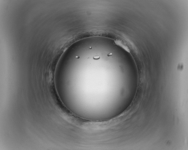 X0000091680025200709061114