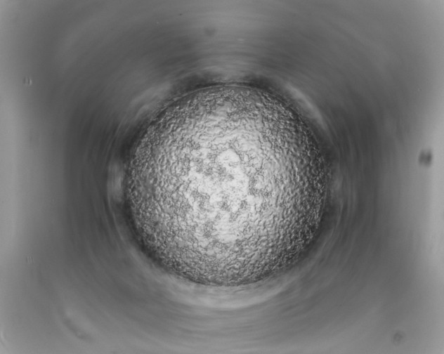 X0000091680026200709061114