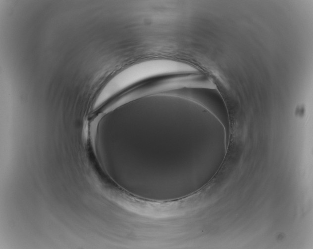 X0000091680027200709061114