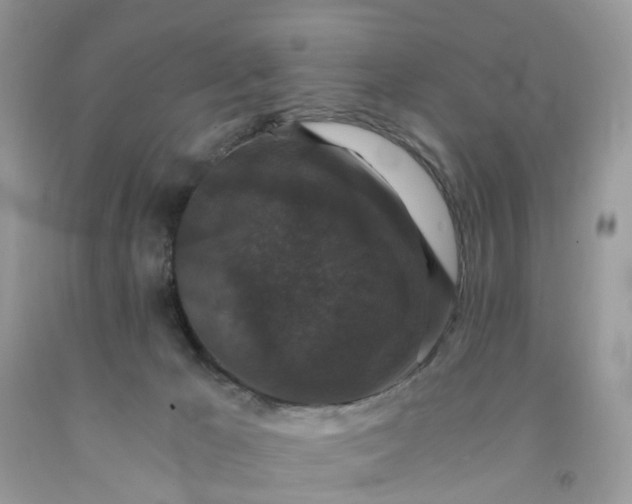 X0000091680029200709061114
