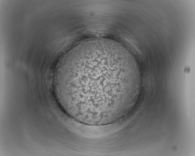 X0000091680030200709061114