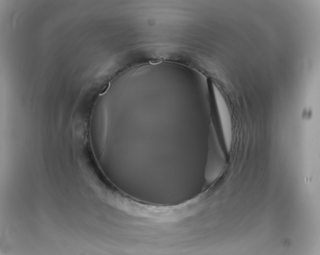 X0000091680031200709061114