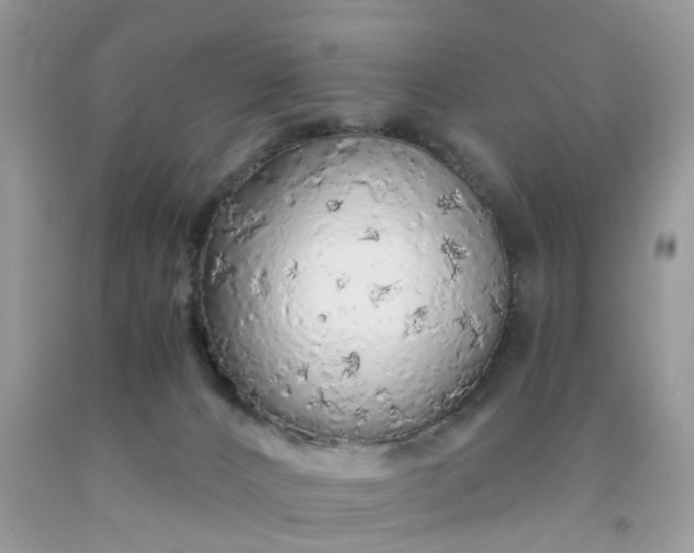 X0000091680032200709061114
