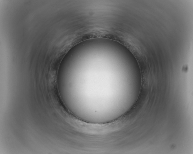 X0000091680034200709061114