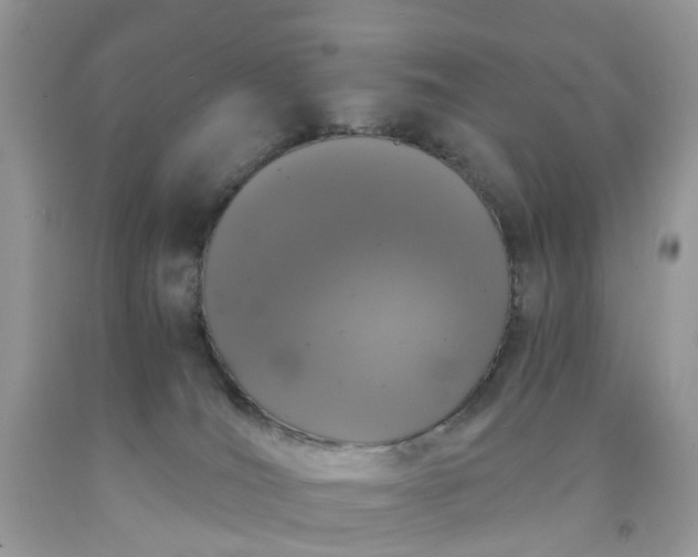 X0000091680036200709061114