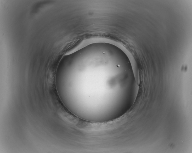 X0000091680037200709061114