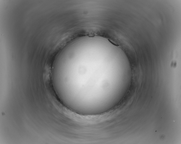 X0000091680038200709061114