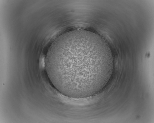 X0000091680042200709061113