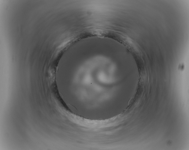 X0000091680043200709061113