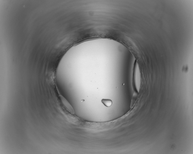 X0000091680045200709061113