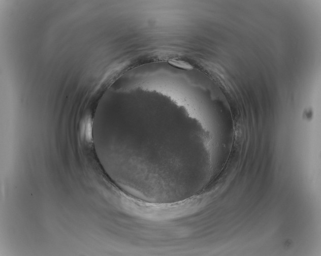 X0000091680046200709061113