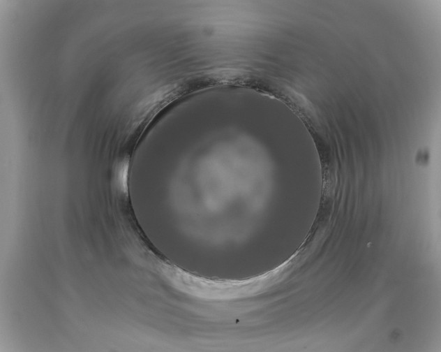 X0000091680047200709061113