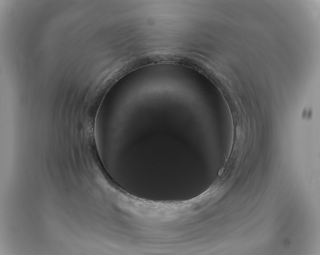 X0000091680048200709061113
