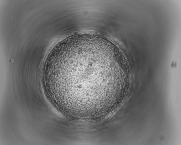 X0000091680049200709061112