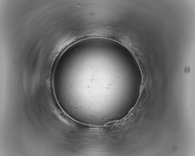 X0000091680050200709061112