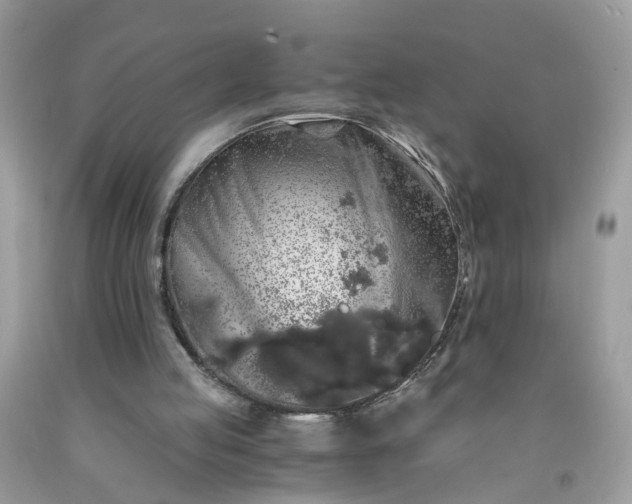X0000091680053200709061113