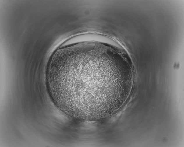 X0000091680055200709061113