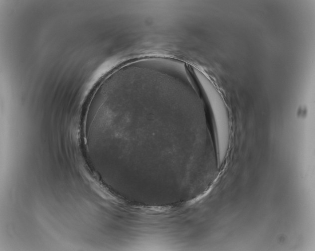 X0000091680056200709061113