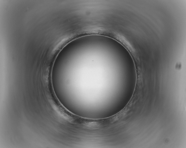 X0000091680058200709061113